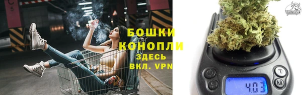 винт Ельня