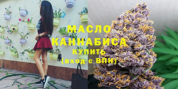 винт Ельня