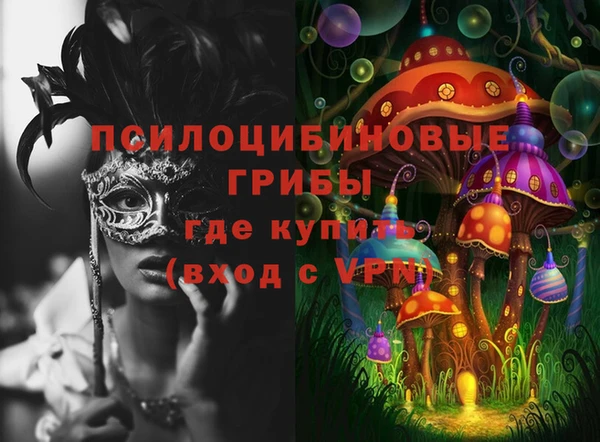 ALPHA PVP Елизово