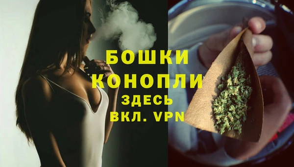 винт Ельня