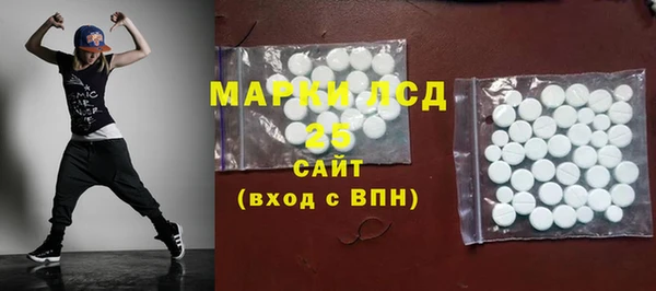 винт Ельня