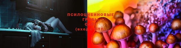 винт Ельня