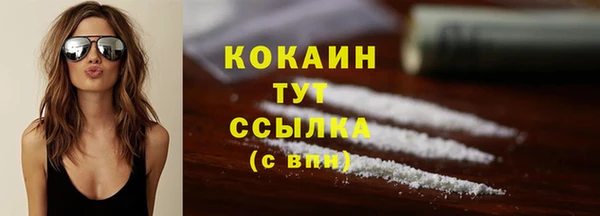 винт Ельня