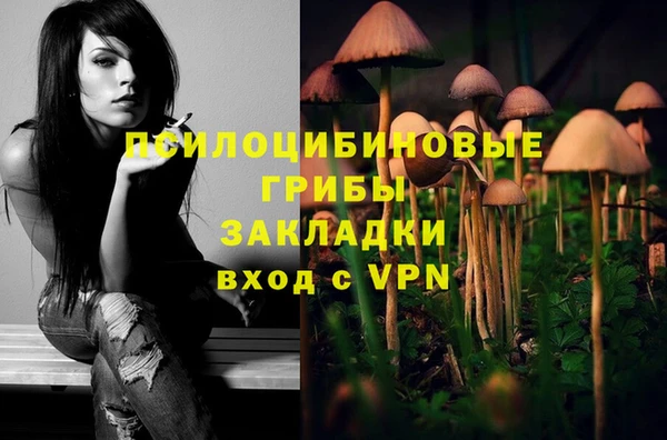 винт Ельня