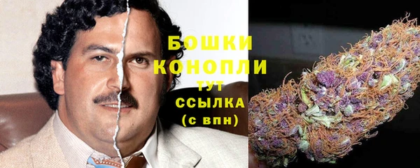 ALPHA PVP Елизово