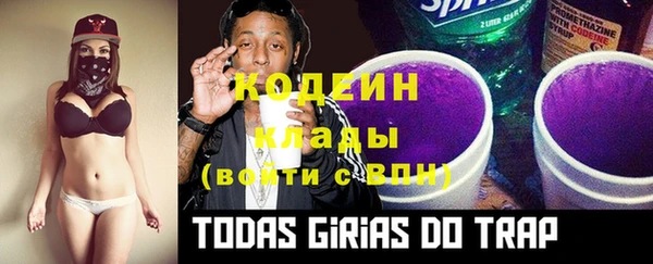 винт Ельня