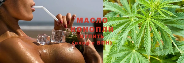 винт Ельня